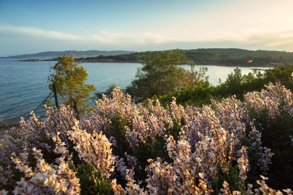 Villa Irini Porto Heli Luaran gambar